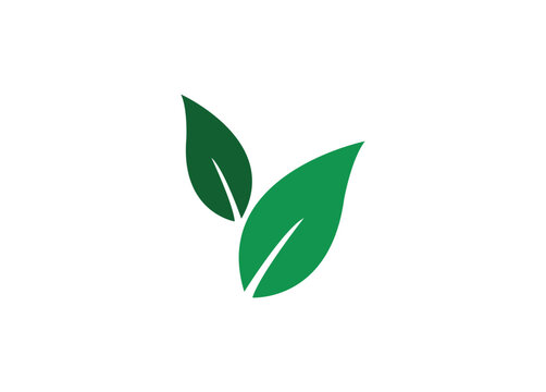 Green leaf logo illustration, silhouette leaf symbol logo.