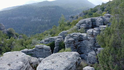 Top view of mountains slopes covered with gray rock formations and green trees. Wild mountains nature landscape.