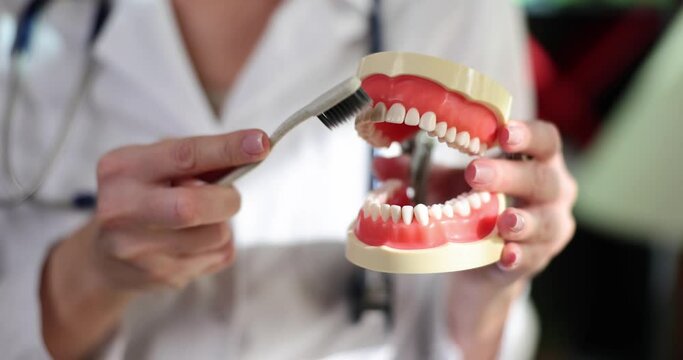 Dentist shows patient to brush teeth in dental clinic