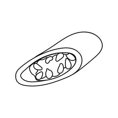 Hot chili pepper one red. Icon for spicy food and seasoning.