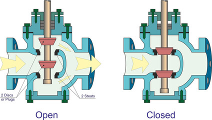 Double Plug Globe Valve