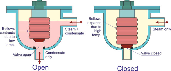 Thermostatic Steam Trap