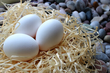 Closeup View Of Three White Eggs In A Straw Nest On A Stones 

