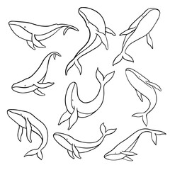Collection Hand Drawn Whales Different