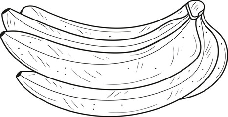 Bananas hand drawn. Whole. Vector illustration. Fruits, nutritious and healthy foods. Doodle style.  © STANISLAV