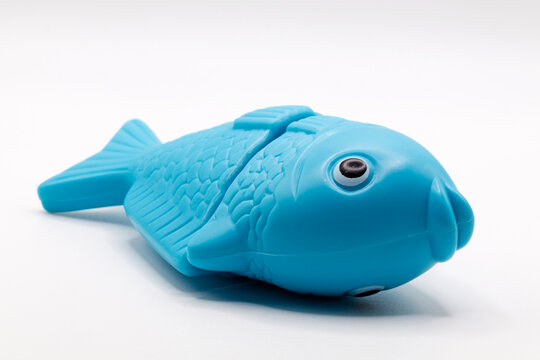 a toy fish that can be split in half