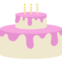 Birthday Party Ornamen Vector