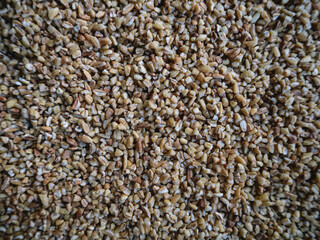 Autumn harvest of grain grain, full screen of whole grains