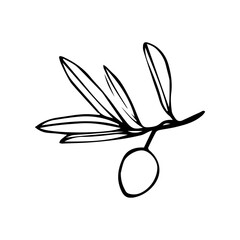 Hand drawn contour black twig. Plant. Part of a tree. Nature. Herbarium. Isolated on a white background.