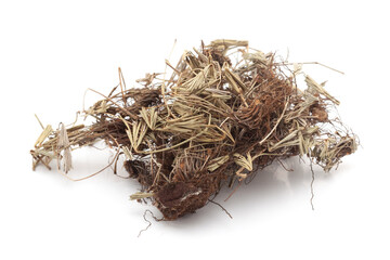 Closeup of Tailed Maidenhair or Mayurshikha (Actiniopteris radiata) leaves, isolated on white background.