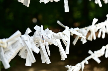 Tied omikuji at the shrine