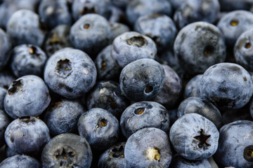 Background of the many blueberries. Healthy eating concept