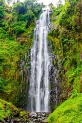 Fototapeta na wymiar View of Materuni waterfall at foot of mountain Kilimanjaro not far from the city Moshi, Tanzania