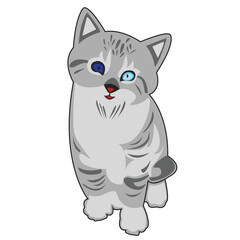 cat with a bow