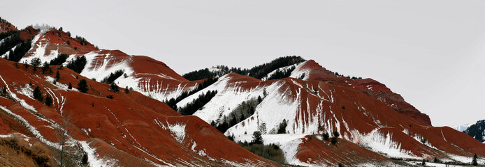 winter in the gros ventre wide angle - obrazy, fototapety, plakaty