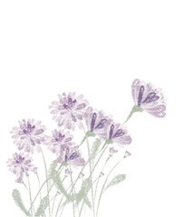 Obraz na płótnie Canvas flowers isolated on white background