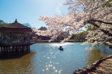 Fototapeta premium OLYMPUS DIGITAL CAMERA