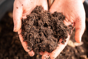 Close-up woman holding natural bio plant soil in her two hands, pot with soil in the background, gardening