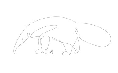 Ant-bear and ant-eater line art illustration. South America animals. Unusual species outline