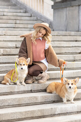 A young blonde woman in a hat on a walk in the park with Welsh Corgi-Pembroke dogs.Spring
