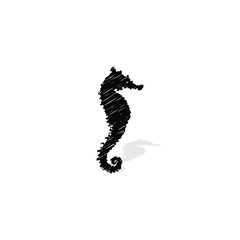 Fototapeta premium Seahorse icon isolated vector graphics