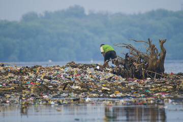 people cleaning trash