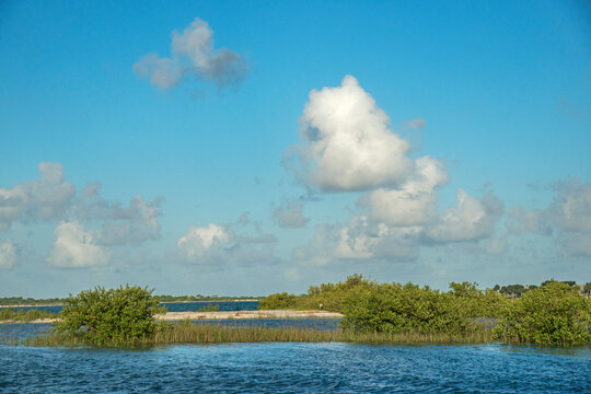Island at Matanzas Inlet, Matanzas River, Florida, USA
