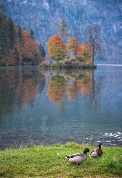 Konigssee lake, Bavaria, Germany
