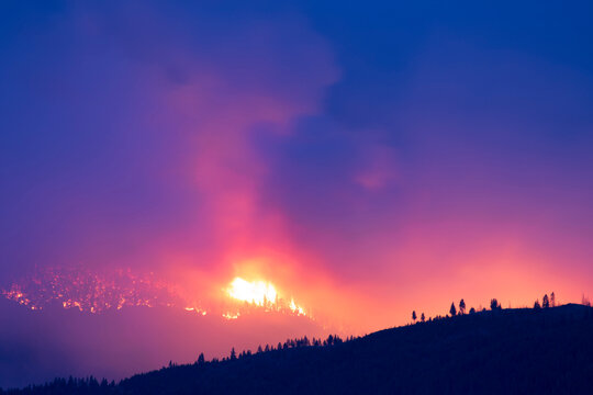 Wildfire at Lolo Peak crowns through trees on edge of Selway-Bitterroot Wilderness in the Lolo National Forest near Missoula, Montana, USA