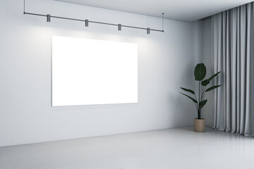 Perspective view on blank white poster with place for your logo or text on light wall background in empty sunlit room with green plant in golden pot and light grey curtain. 3D rendering, mock up