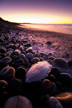 Glowing sunset along wet rocks on East Devonport beach.