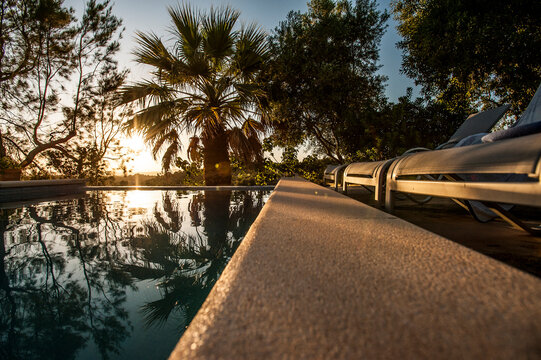 Palm trees backlits by the settling sun reflected in the pool's water. Mallorca, Spain.
