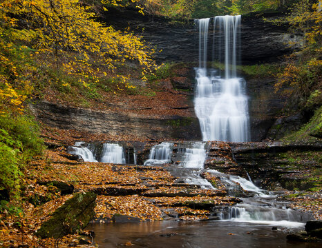 Carpenter Falls