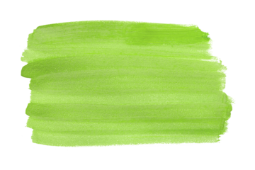 Lime green brush isolated on transparent background. Lime green brush, png