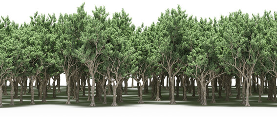 forest line with shadows under the trees, isolated on transparent background, 3D illustration, cg render