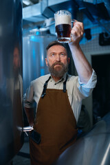 Bearded senior brewer checking beer quality during brewing technology process