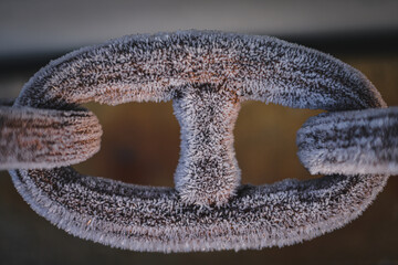 A link of an old anchor chain covered with frost. located on the shore near the old shipyard