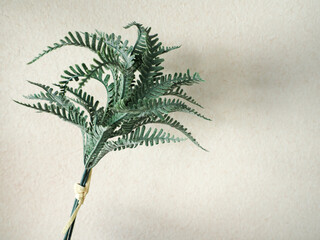 ナチュラルな葉っぱ