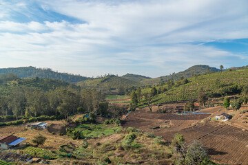 Fototapeta na wymiar Village in a hill at Nilgiri forest Ooty. Landscape of Ooty Tamil nadu India