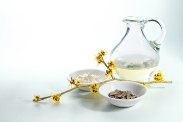 Glass jug with essence, skin cream and dried bark of hamamelis or witch hazel, natural cosmetics of the medicial plant, light gray green background, copy space, selected focus