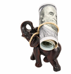 Elephant walk with 100 dollar note. Еlephant with bills on white background.