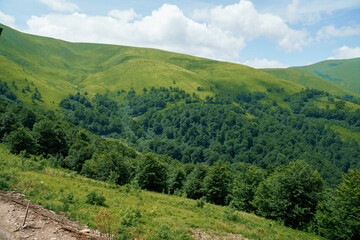 Beautiful summer mountain landscape, forest, clouds. Mount Gemba Pylypets Ukraine. Ukrainian mountains Carpathians, Transcarpathia