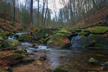beautiful river in the Ilsetal that flows through a deciduous forest in autumn