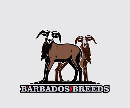 BARBADOS SHEEP LOGO, great silhouette of great goat standing vector illustrations