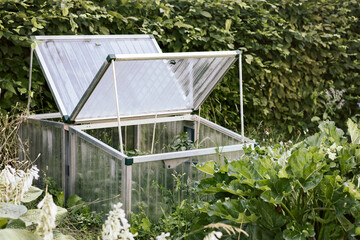 Mini Greenhouse for Growing Vegetables Seedlings. Home Cartoon Miniature Glasshouse for planting Vegetable at community garden.