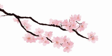 Japanese cherry blossoms, sakura, spring flowers, vector illustration © Valerii