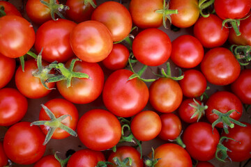 Delicious red tomatoes