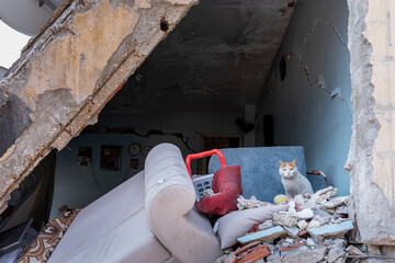 demolition of an abandoned house after an earthquake