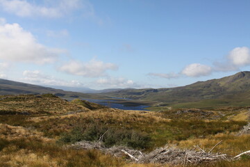 The Old Man of Storr is a famous rock pinnacle on the Isle of Skye, Scotland. A popular hiking spot, it towers at 50 meters high and offers breathtaking panoramic views.