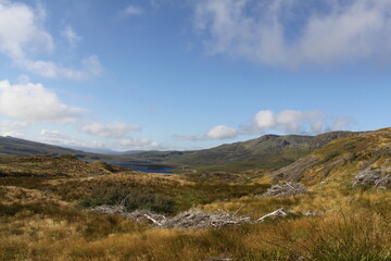 Naklejka premium The Old Man of Storr is a famous rock pinnacle on the Isle of Skye, Scotland. A popular hiking spot, it towers at 50 meters high and offers breathtaking panoramic views.